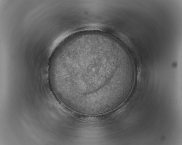 X0000113231164200910011402