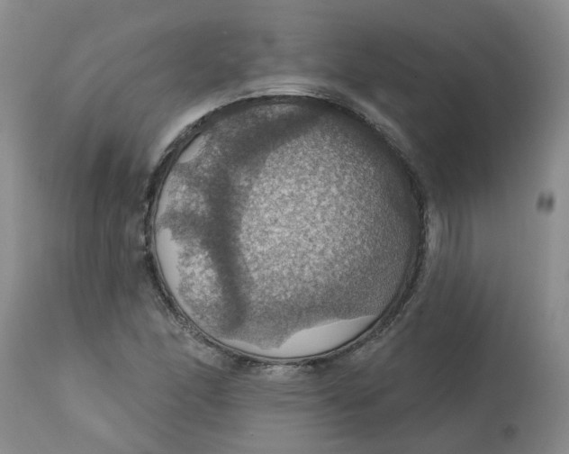 X0000113231166200910011402