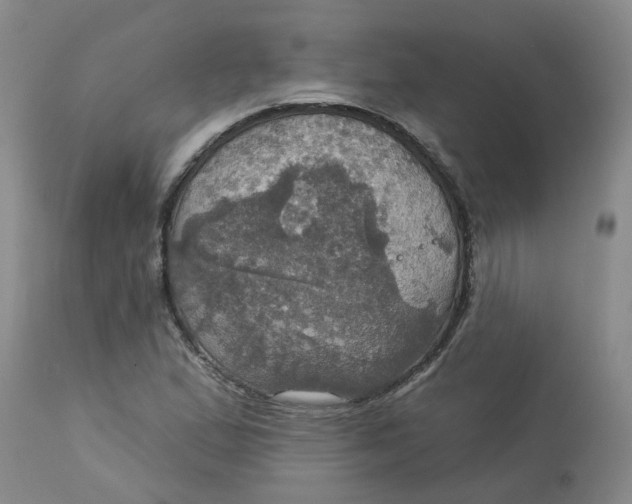 X0000113231167200910011402