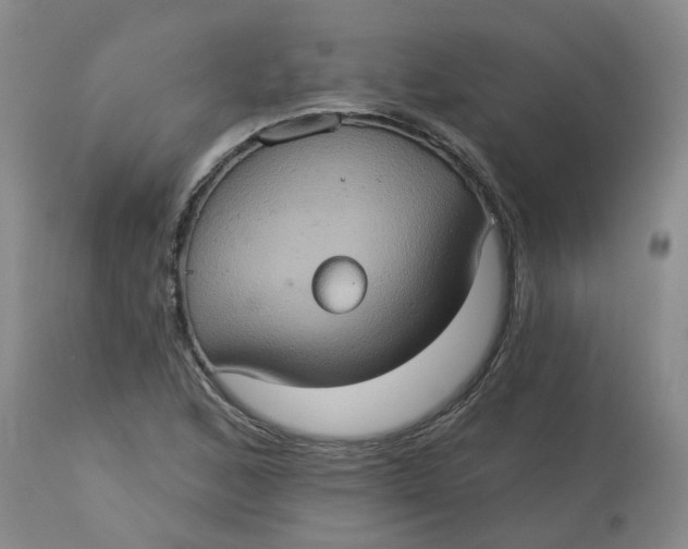 X0000113231168200910011402