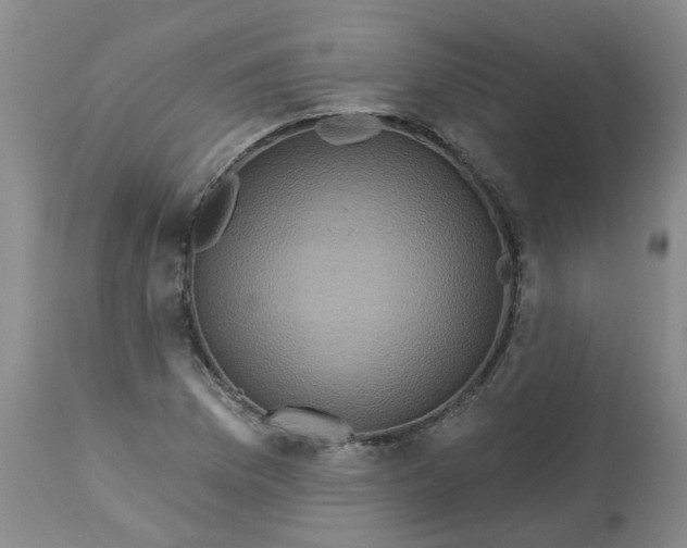 X0000113231169200910011402