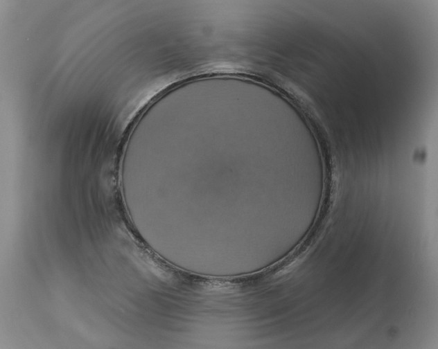 X0000113231170200910011402