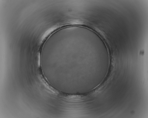 X0000113231171200910011402