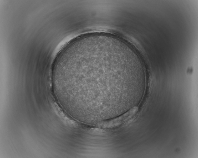 X0000113231172200910011402