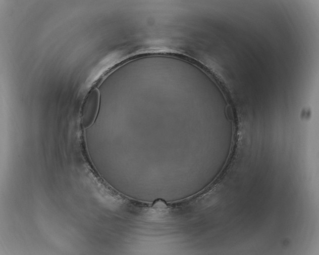 X0000113231173200910011402