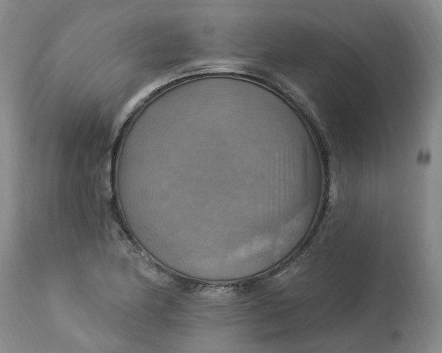 X0000113231174200910011402