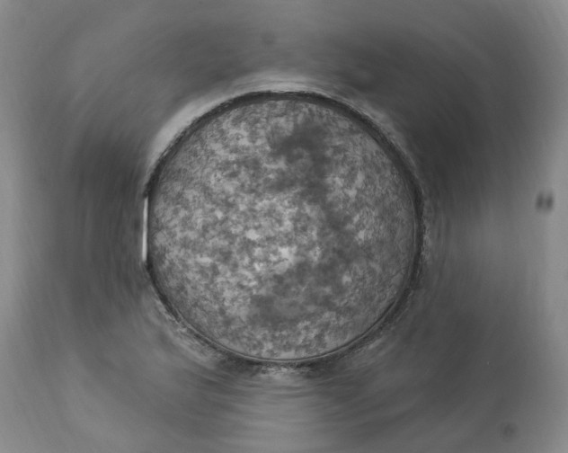 X0000113231175200910011402