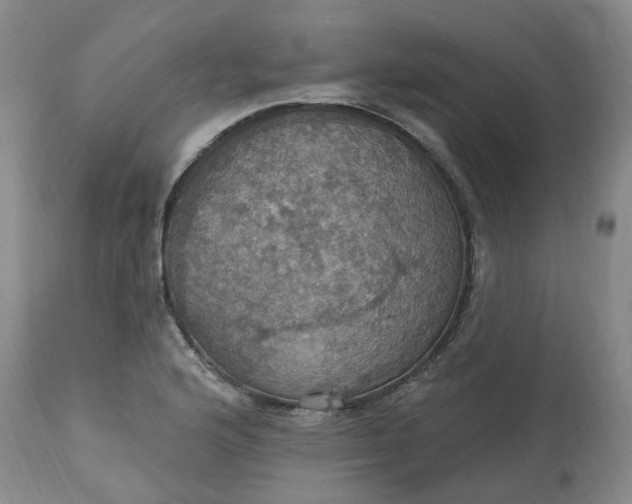 X0000113231176200910011402