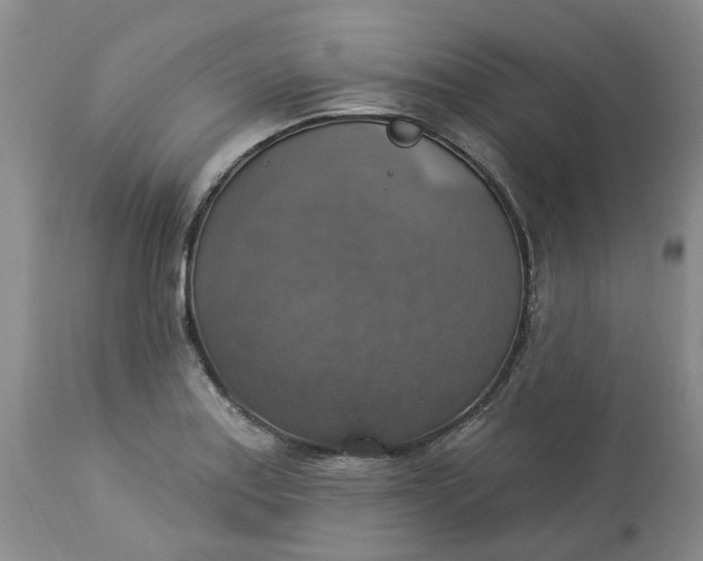 X0000113231179200910011402