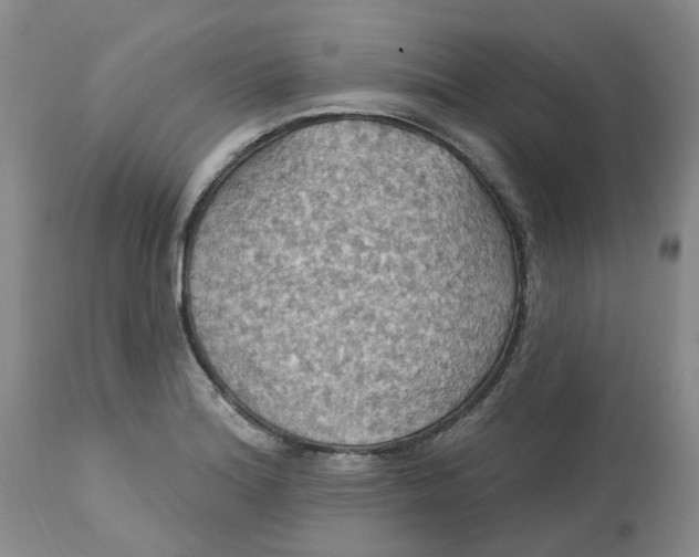 X0000113231180200910011402