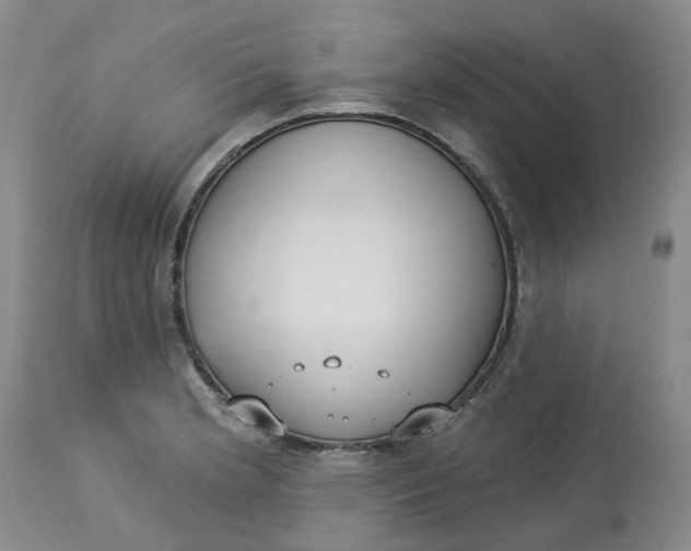 X0000113231181200910011402