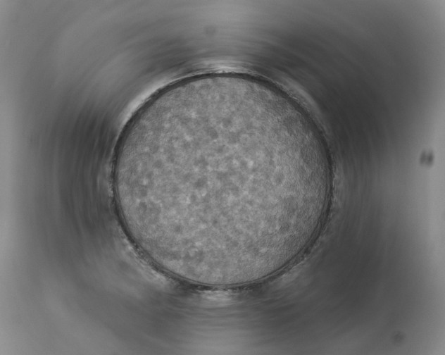 X0000113231182200910011402