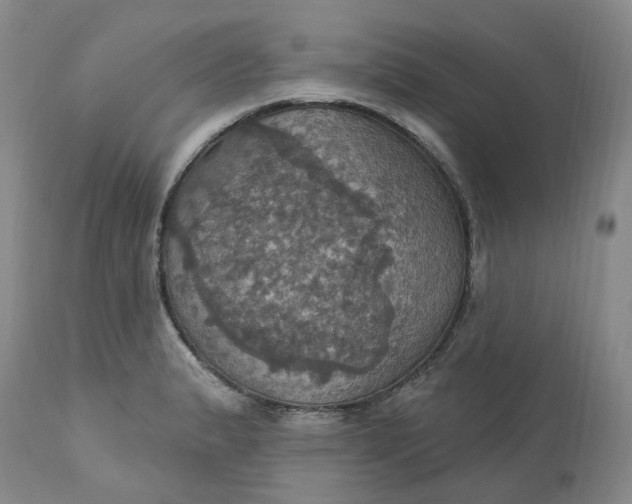 X0000113231183200910011402