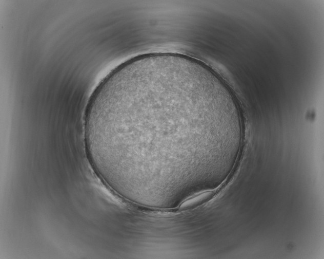 X0000113231184200910011402