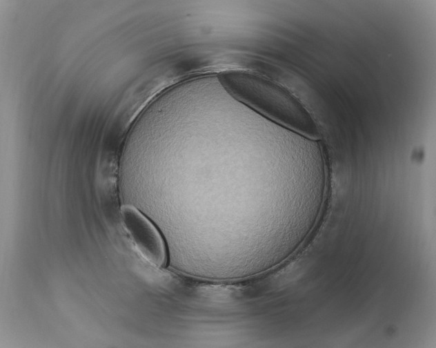 X0000113231185200910011402