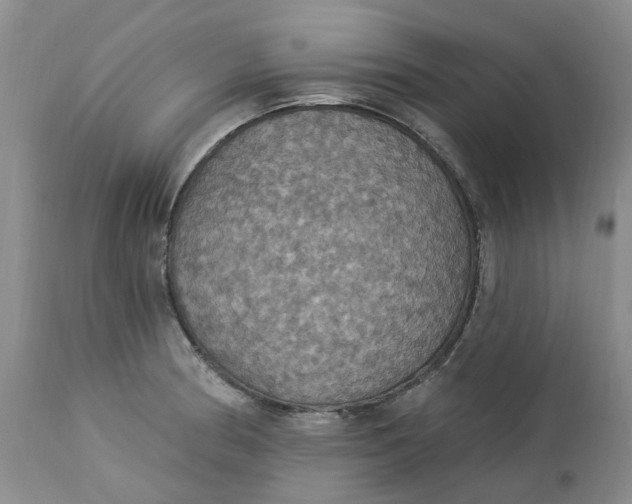 X0000113231186200910011402