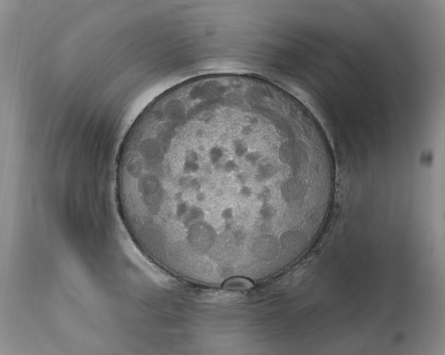 X0000113231187200910011402