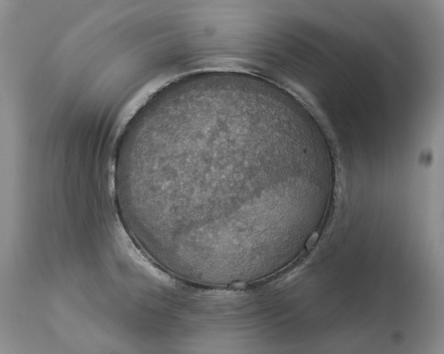 X0000113231188200910011402