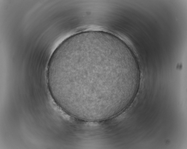 X0000113231190200910011402