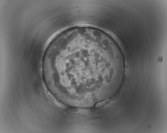 X0000113231191200910011402