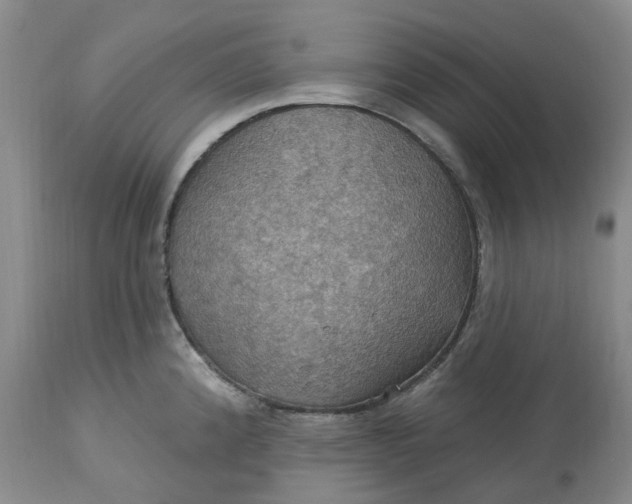 X0000113231192200910011402