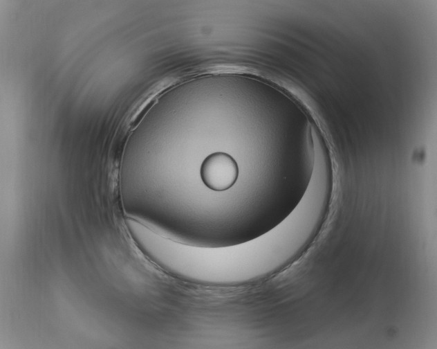 X0000113231193200910011402