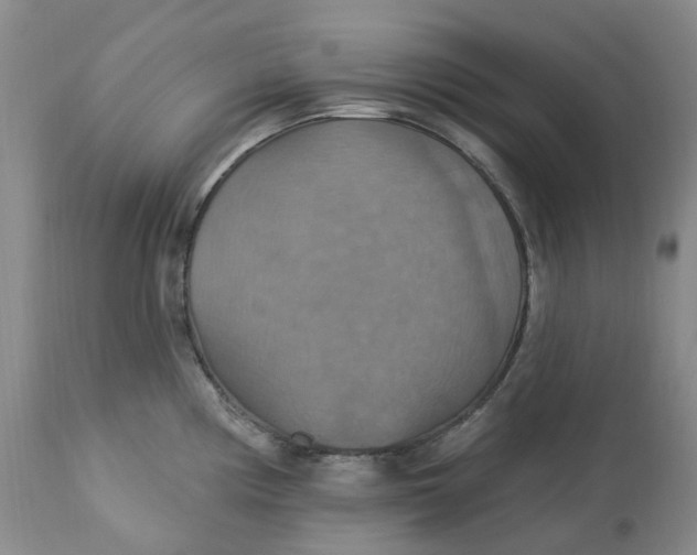 X0000113231194200910011402