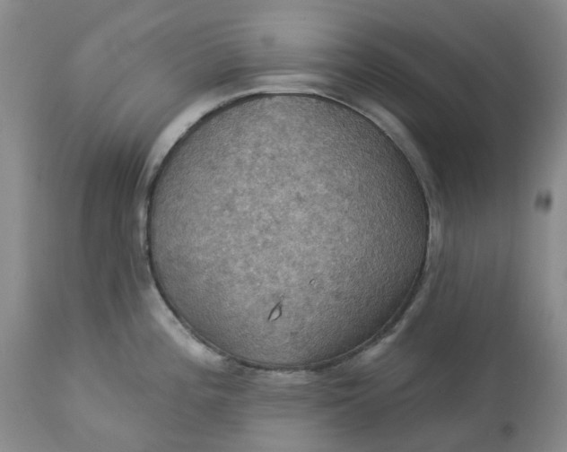 X0000113231196200910011402