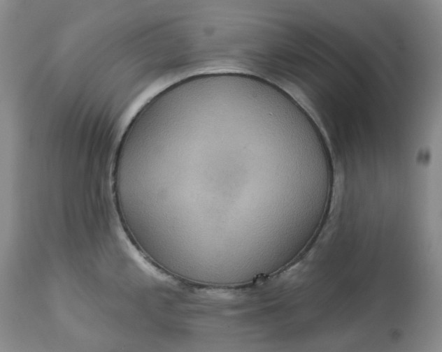 X0000113231197200910011402