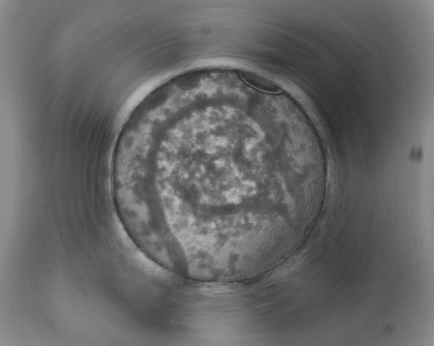 X0000113231199200910011402