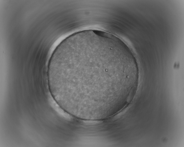 X0000113231200200910011402