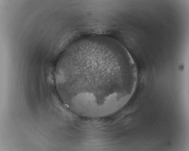 X0000113231202200910011401