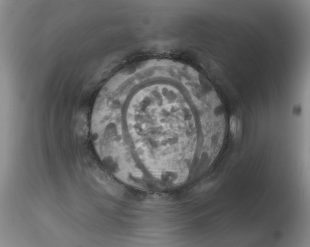 X0000113231203200910011401