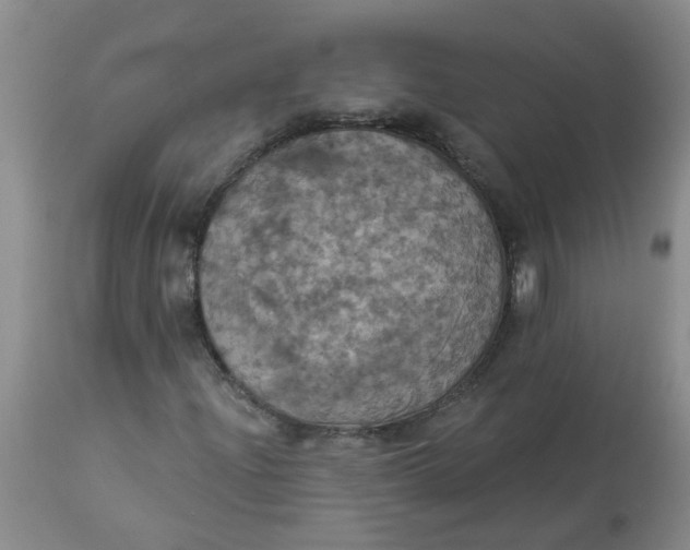 X0000113231204200910011401