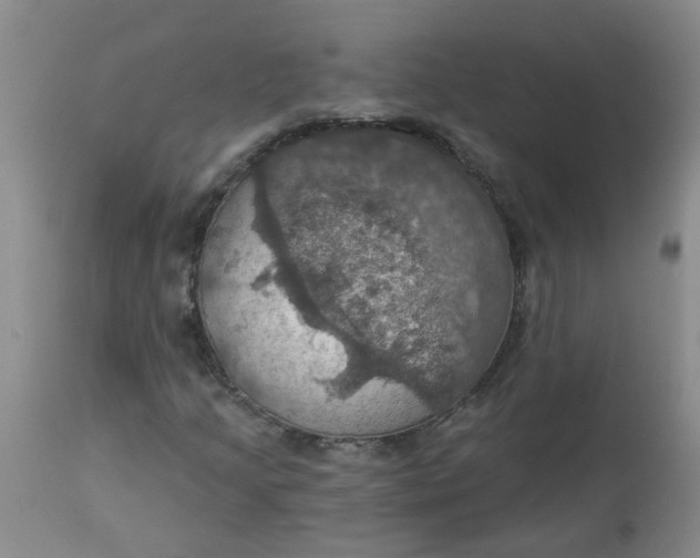 X0000113231205200910011401