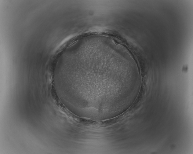 X0000113231206200910011401