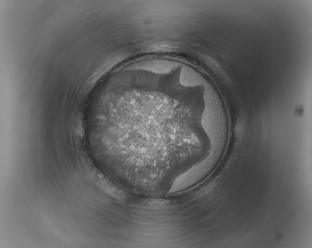 X0000113231209200910011401