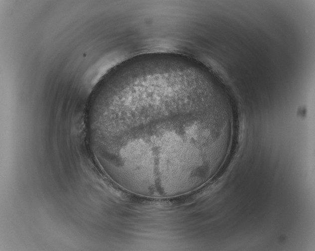 X0000113231210200910011401