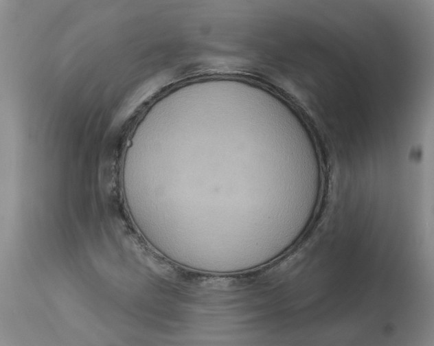 X0000113231211200910011401