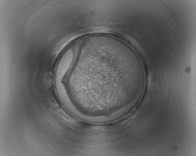 X0000113231212200910011401