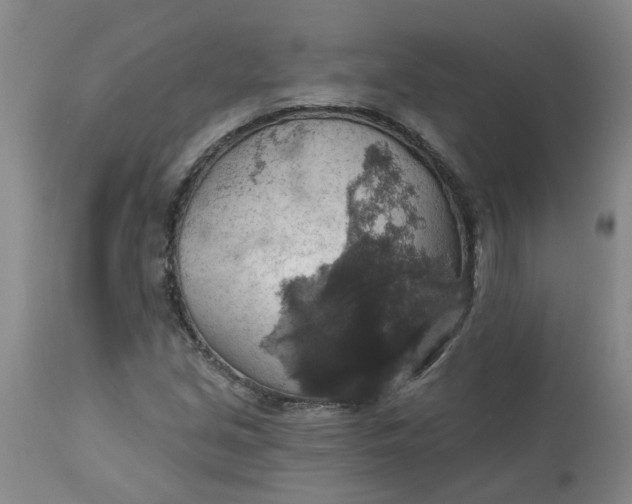 X0000113231213200910011401