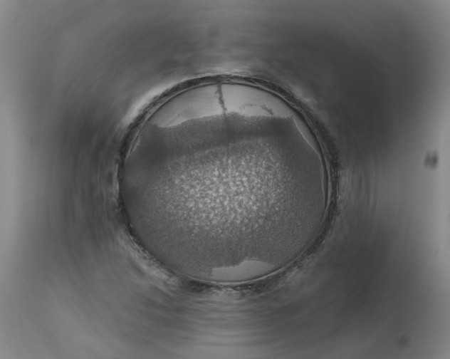 X0000113231214200910011401