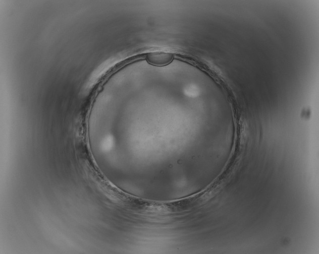 X0000113231215200910011401