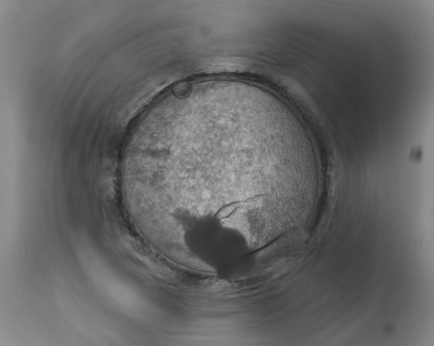 X0000113231217200910011401