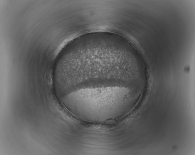 X0000113231218200910011401