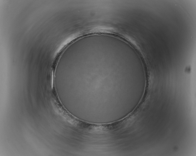 X0000113231219200910011401