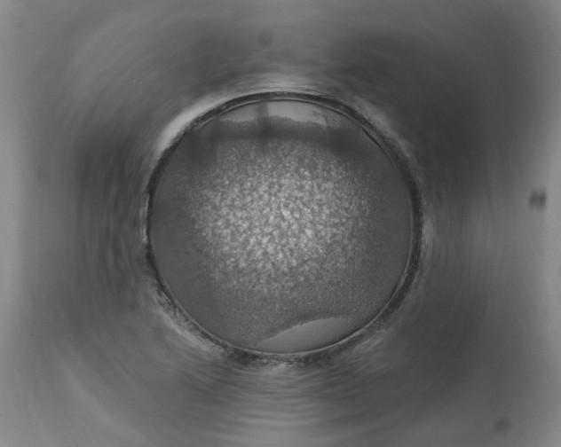 X0000113231222200910011401