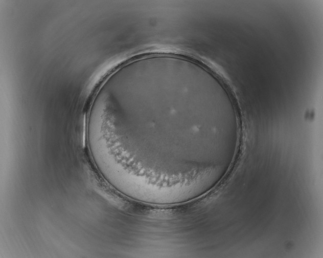 X0000113231223200910011401