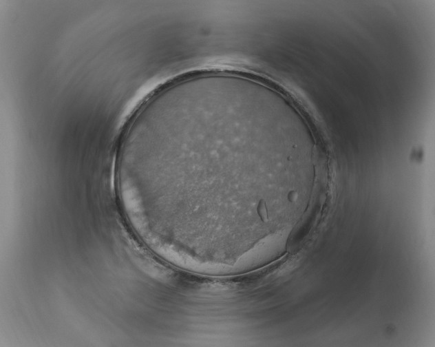 X0000113231224200910011401