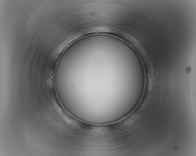 X0000113231225200910011401